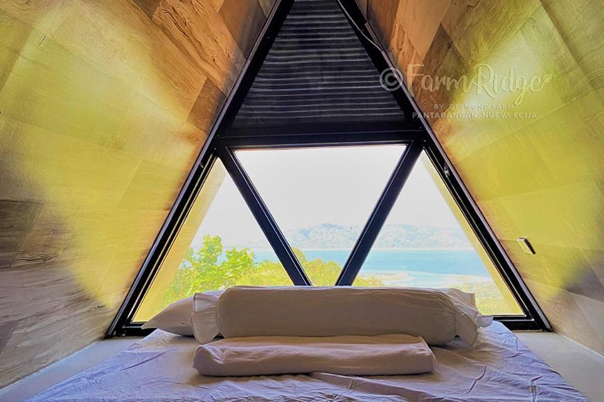 Farm Ridge By Desmond Farm Villa Sampaloc  Dış mekan fotoğraf